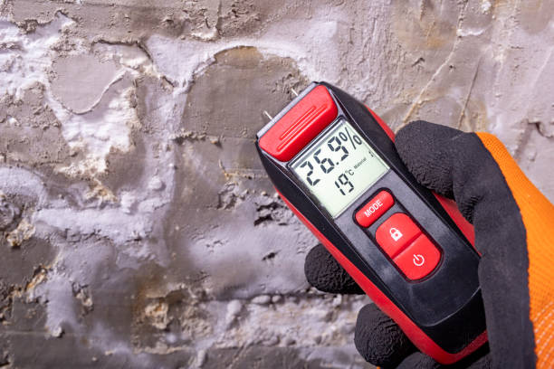 Mold Removal Process in Alamo Heights, TX