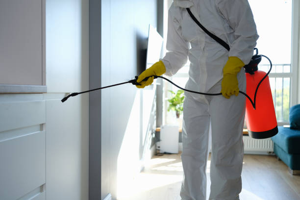 Professional Mold Removal in Alamo Heights, TX