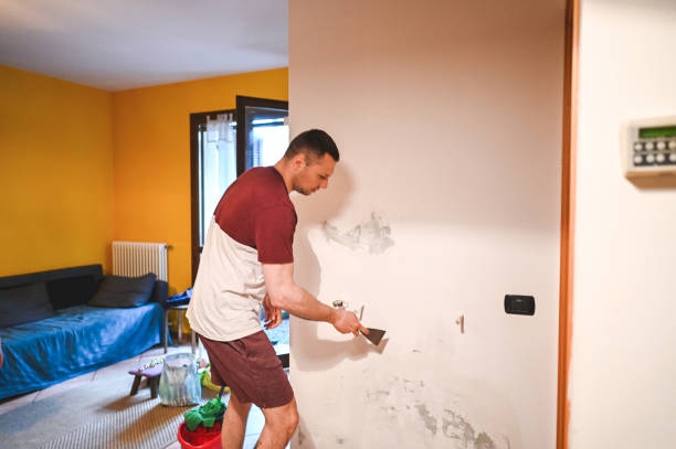 Mold Removal and Inspection in Alamo Heights, TX