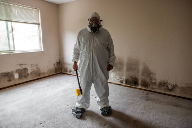 Crawl Space Mold Removal in Alamo Heights, TX